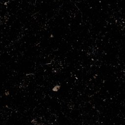 Kalkstein Ecaussinnes (Belgien)