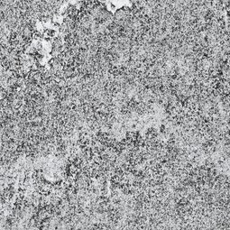 Gneis Maggia (Schweiz)