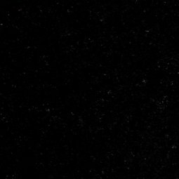 Black Pearl (Indien)