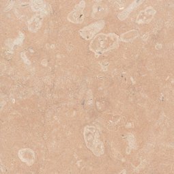 Kalkstein Laufen (Schweiz)